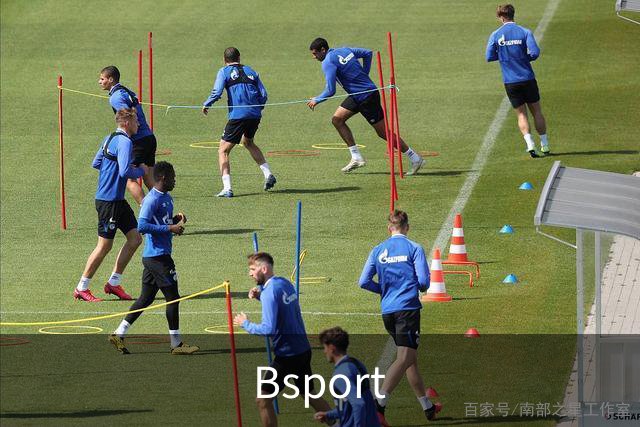 Bsport公司简介
